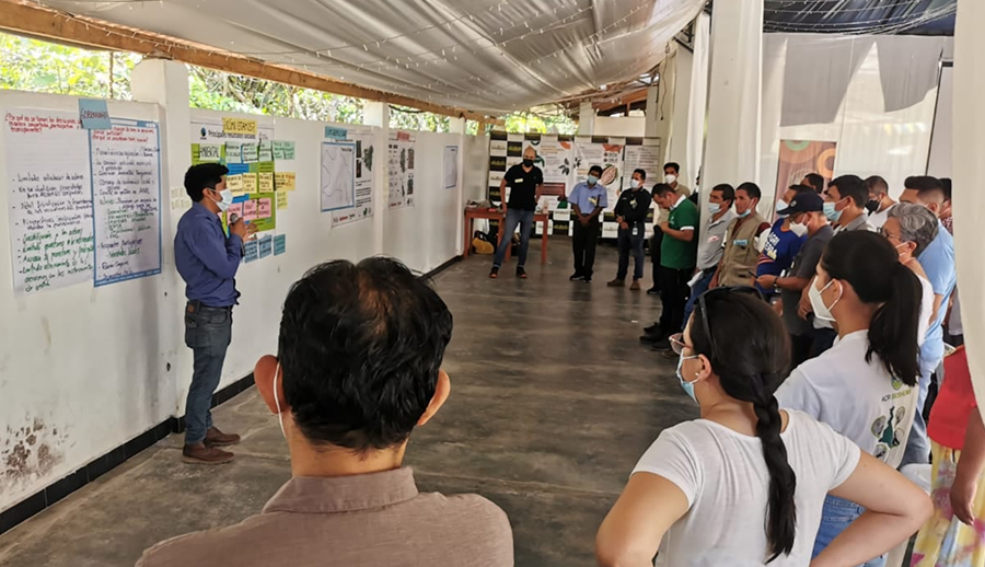 Proyecto San Martín